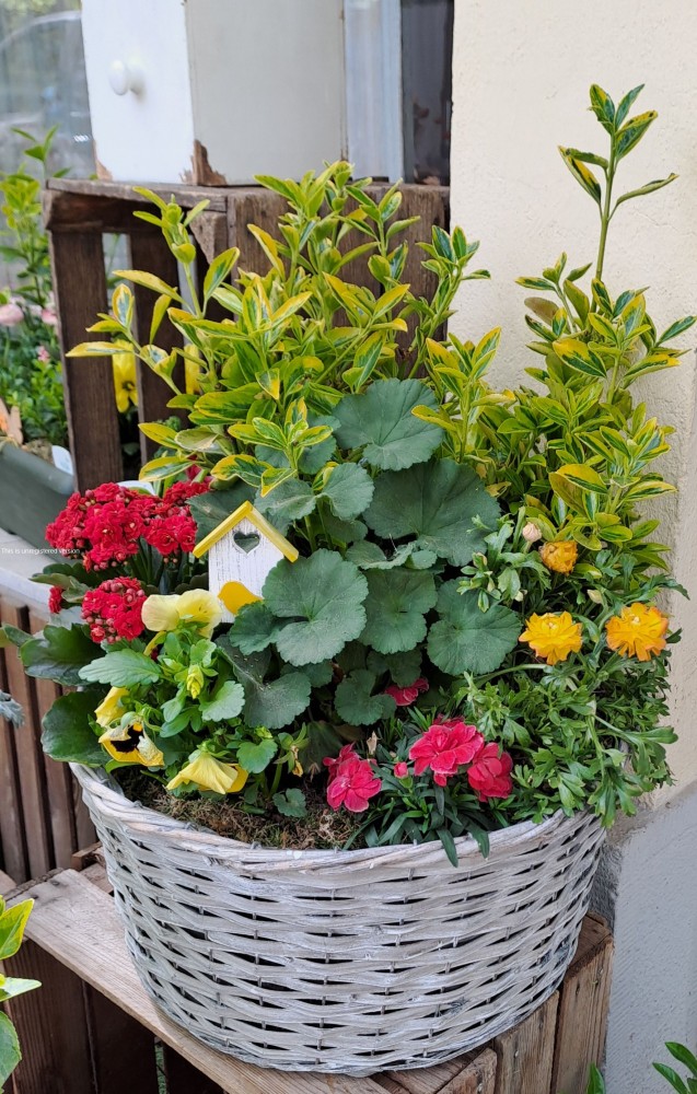 20260428_161508_out.jpg