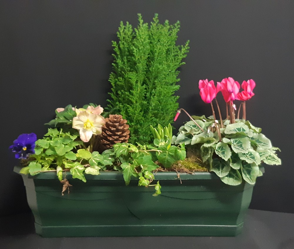 Aude à partir de 47€.jpg