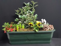 Séverine à partir de 47€.jpg