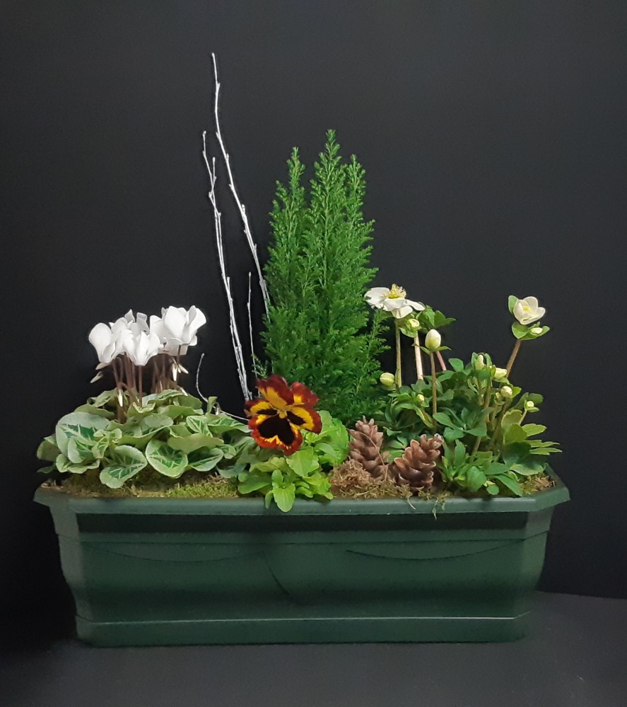 Sidonie à partir de 40€.jpg