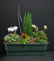 Sidonie à partir de 40€.jpg