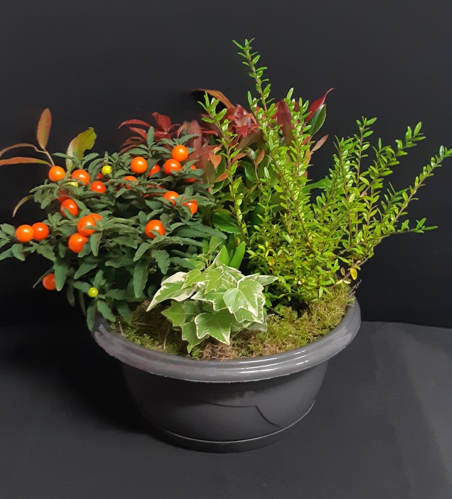 Ambroise à partir de 39€.jpg