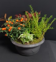 Ambroise à partir de 39€.jpg