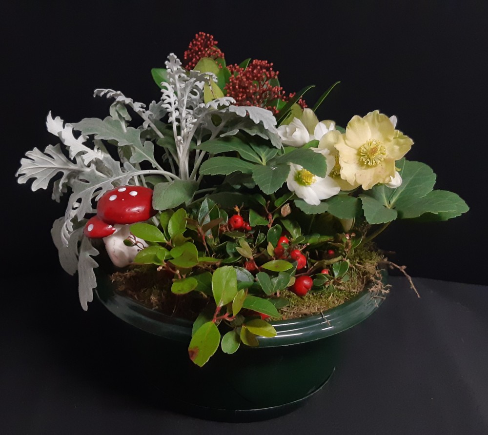 Armande à partir de 47€.jpg