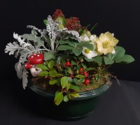 Armande à partir de 47€.jpg