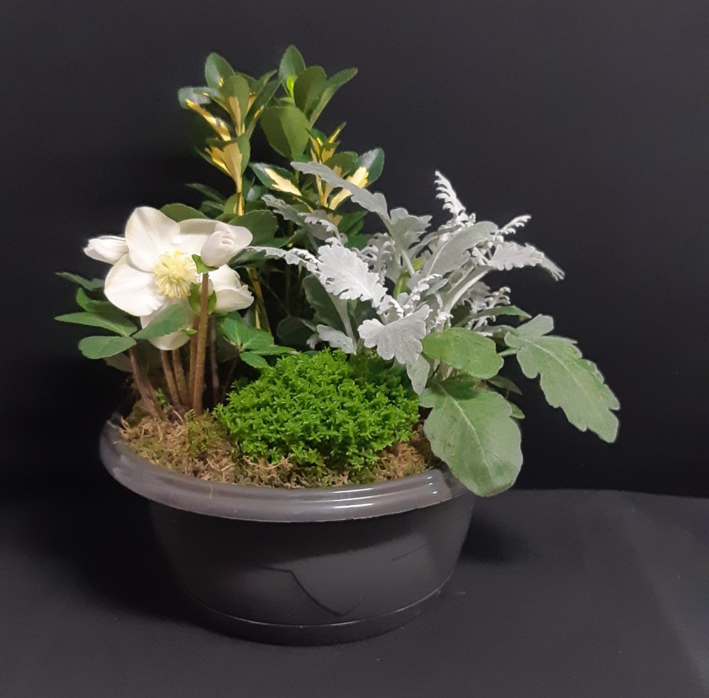 Barbara à partir de 40€.jpg