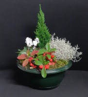 Viviane à partir de 40€.jpg