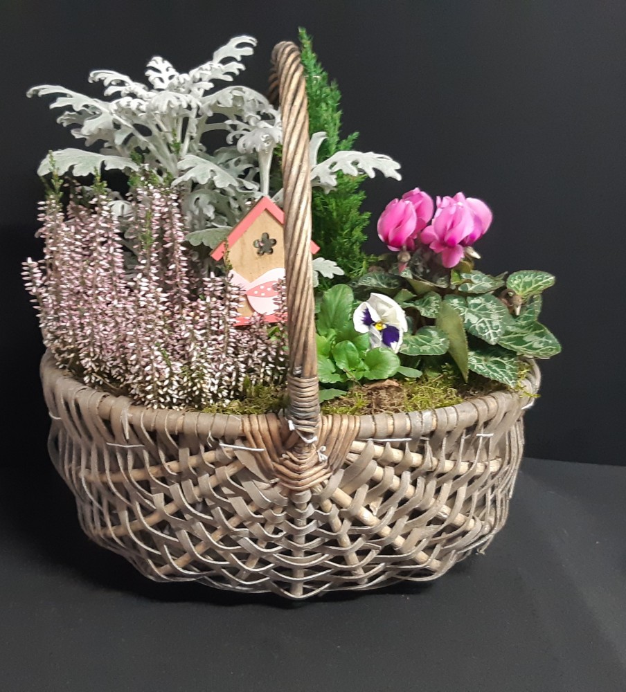 Charline à partir de 45€.jpg