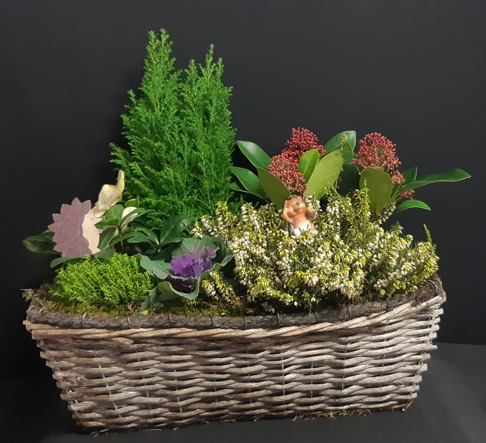 Flora à partir de 65€.jpg