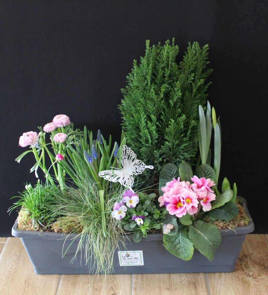 Gisèle A partir de 47€ (2).JPG