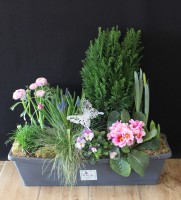 Gisèle A partir de 47€ (2).JPG